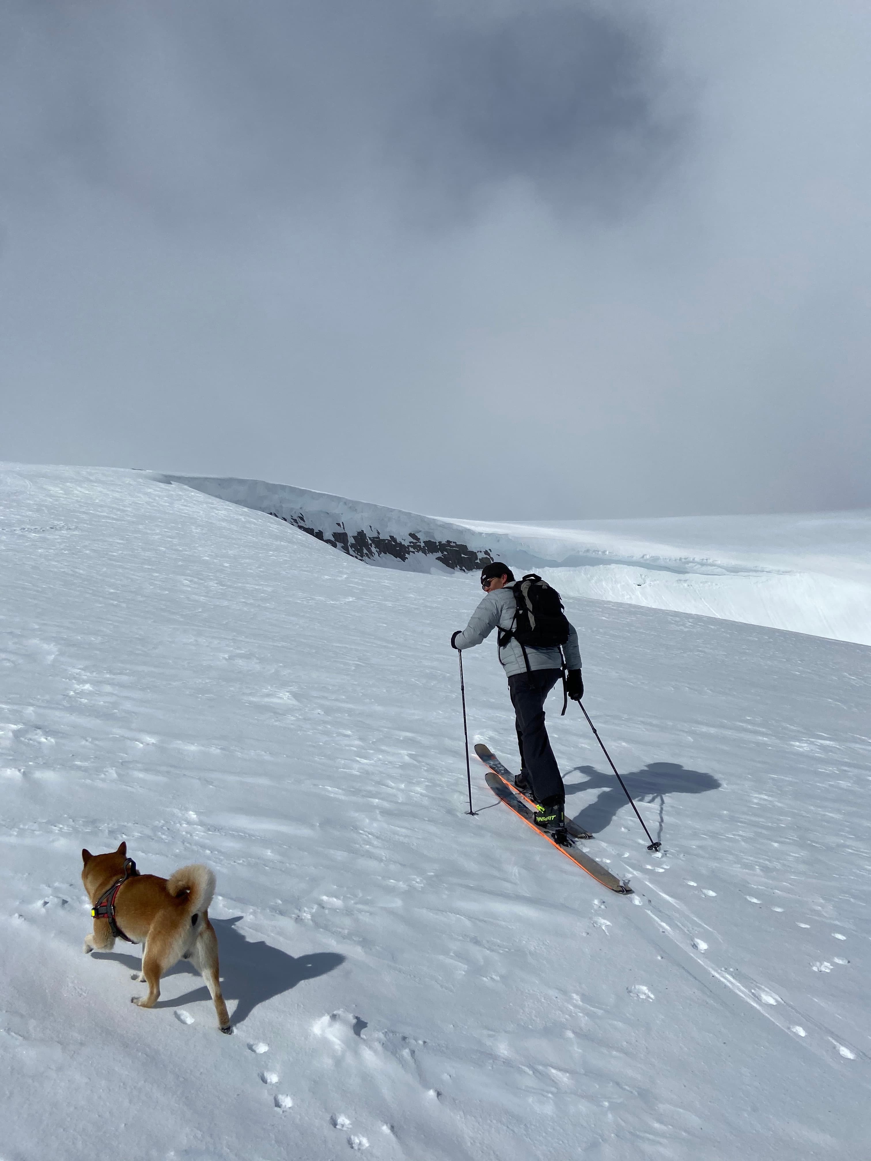 Ski Touring Experience (Randonnée) gallery image 6