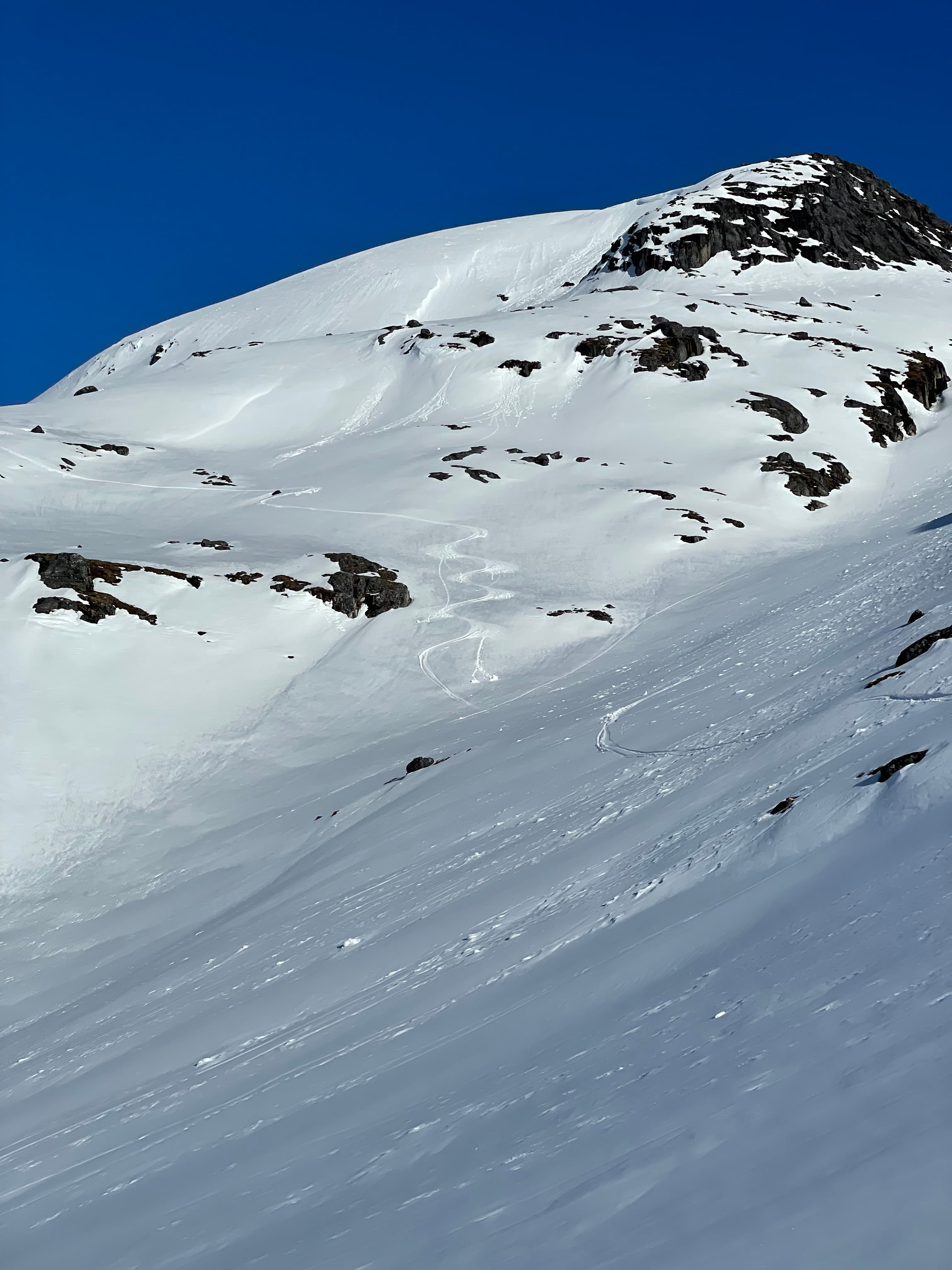 Ski Touring Experience (Randonnée) gallery image 5