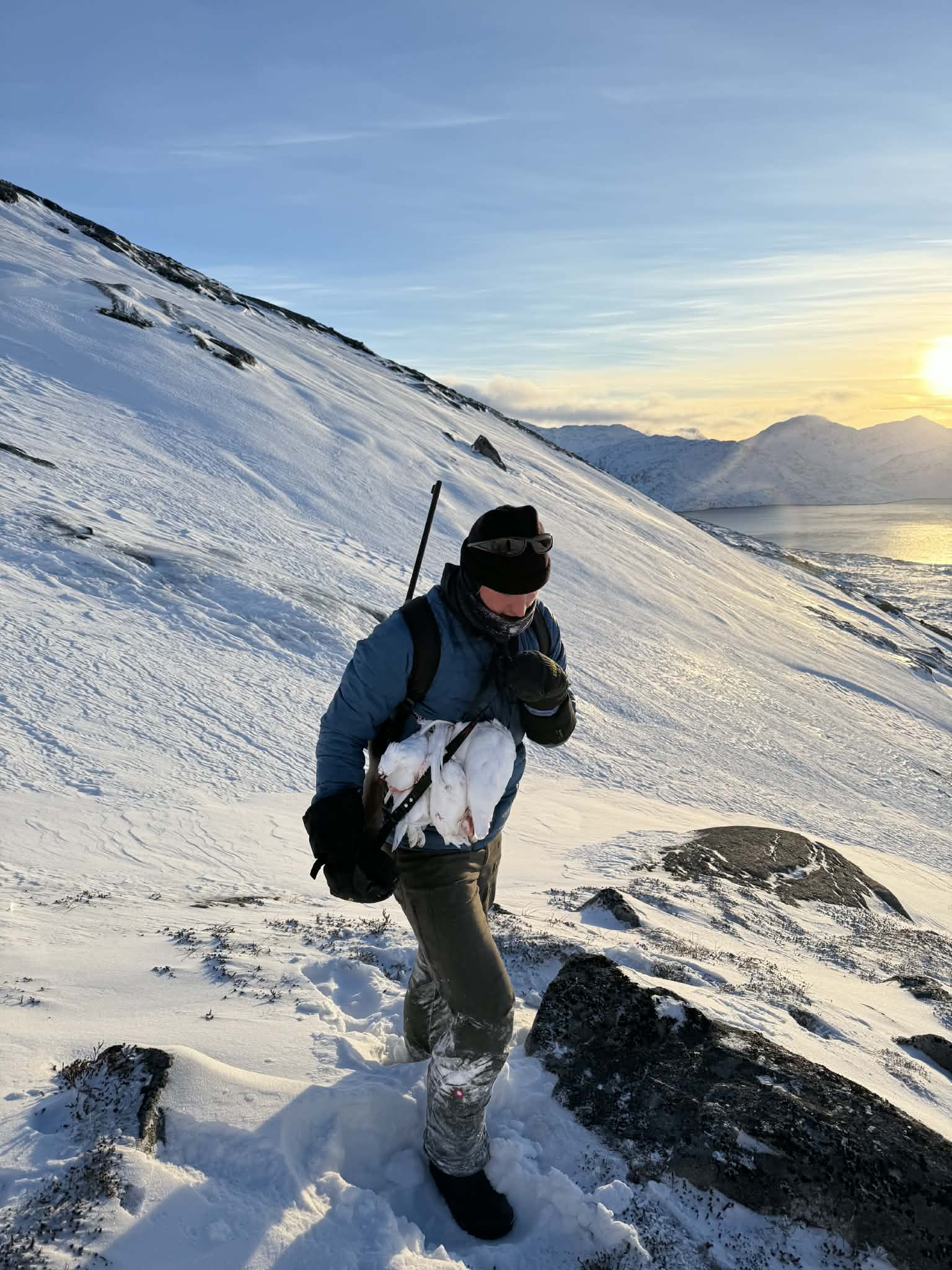 Ptarmigan Hunting