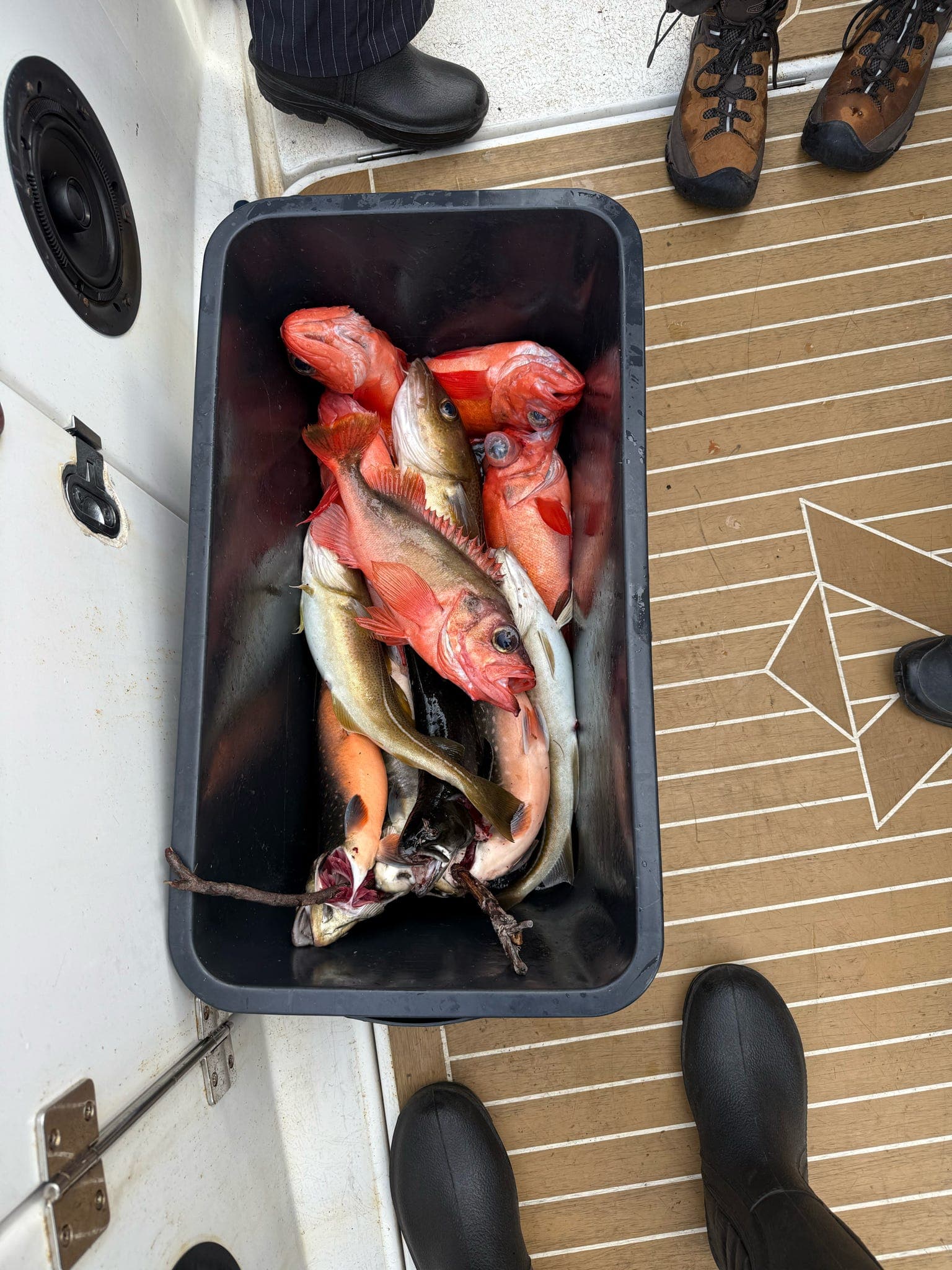 Fishing Trip Nuuk